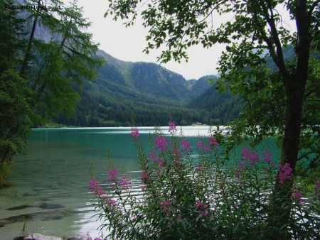 tregua