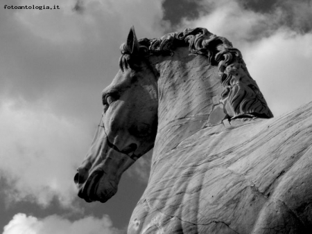 Il cavallo di Marco Aurelio - Campidoglio
