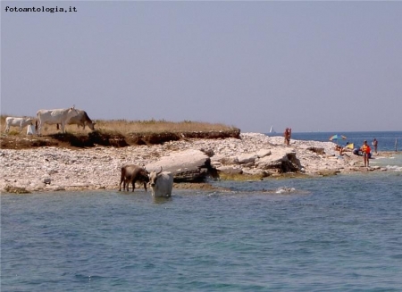 il bagno