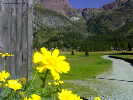 colori della natura