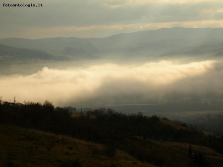 Tra la nebbia