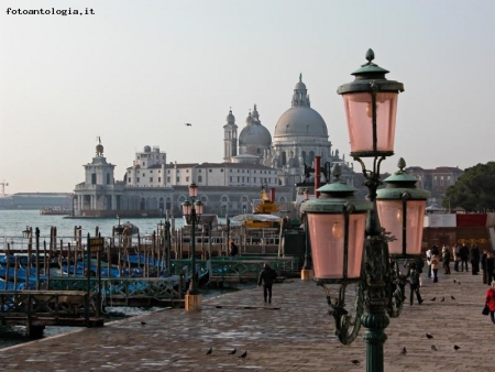 Venezia