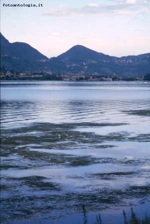 Lago di Garlate, lungo l'Adda