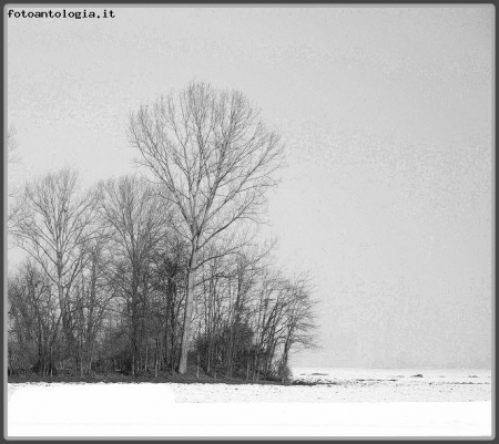 Isola in un mare di neve