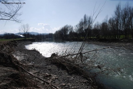 passeggiando lungo il reno