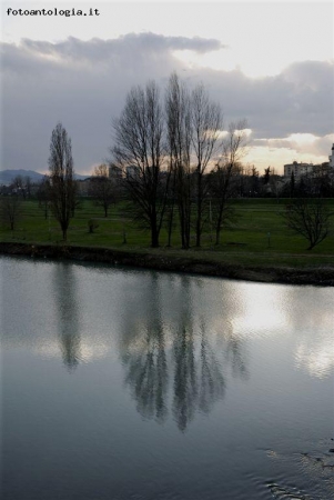 passeggiando lungo il reno