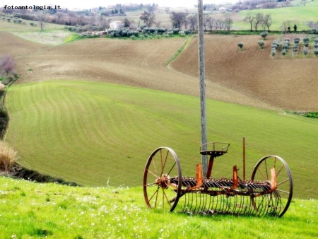 agricoltura reloaded