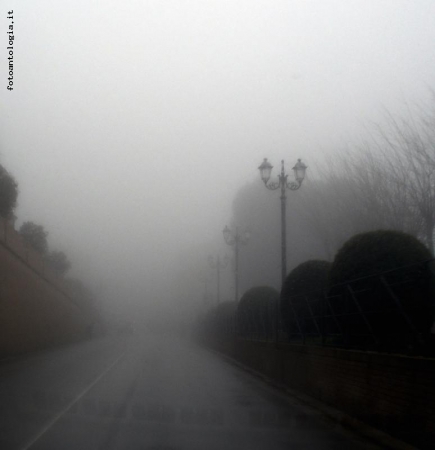 oltre la nebbia...la primavera