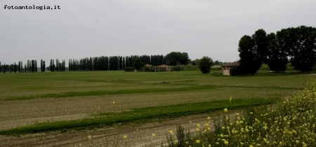 paesaggio campestre