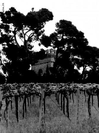torre delle vigne