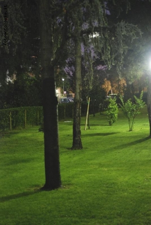 il giardino, di sera
