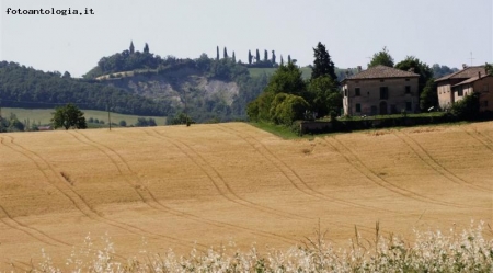 colori in collina