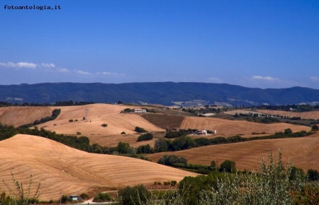 La campagna.... La Tranquillita'...