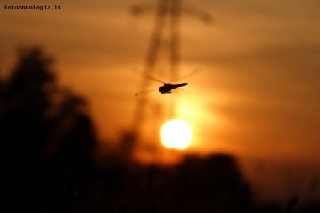 in volo al tramonto...