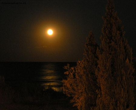 Notte di luna sul mare