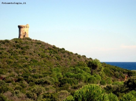 Torre genovese