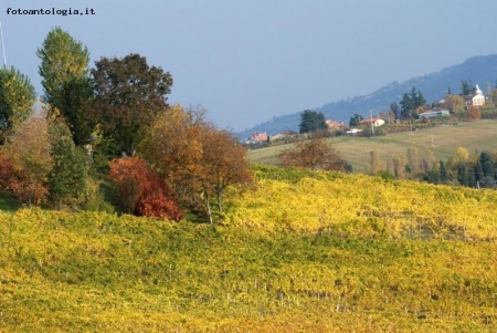 colori d'autunno