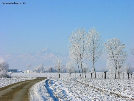 Bianco Natale_1