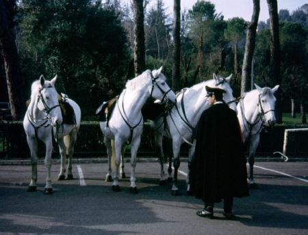 Roma - Vigilanza a cavallo