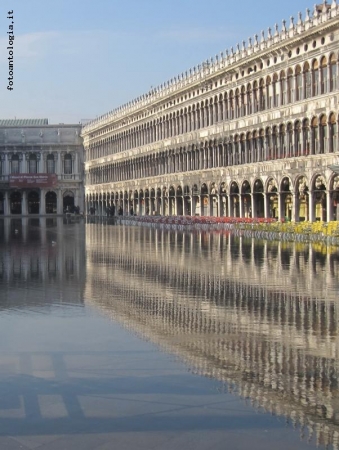 Venezia, piazza san marco