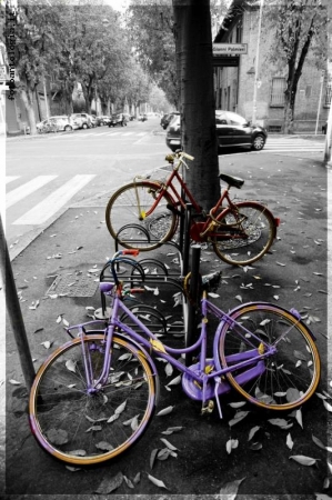 bici abbandonata