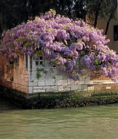 primavera a venezia
