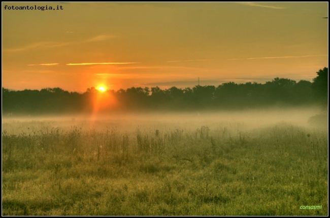 alba