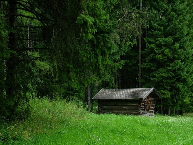 casa nel bosco