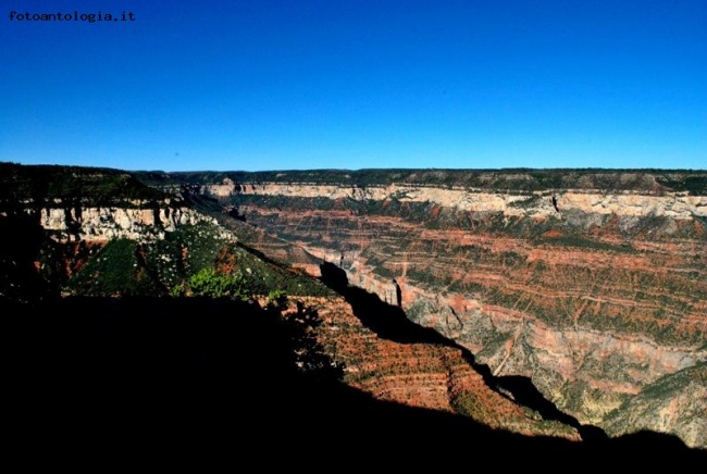 Mix di colori al Grand Canyon