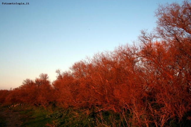 Interpretazione di un tramonto