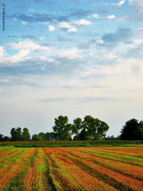 Tra terra e cielo