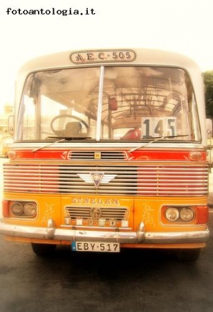 Malta's bus