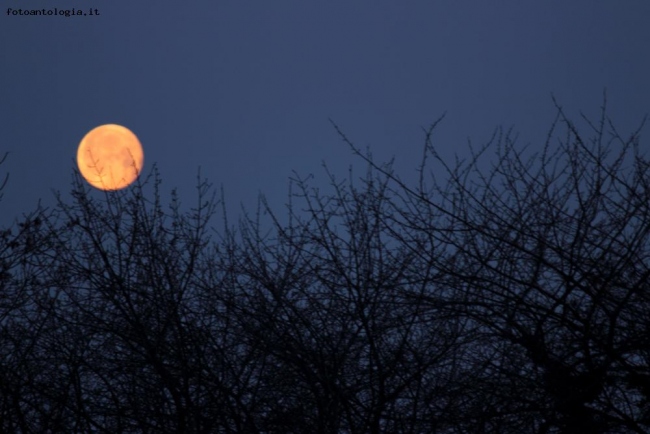 ....E LA LUNA BUSSO'