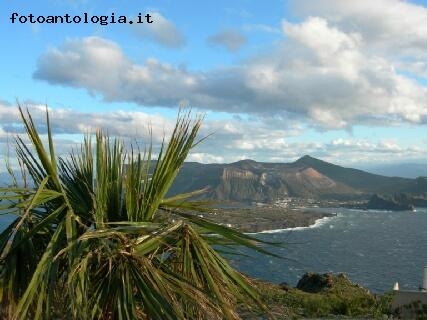 Isola Vulcano con palma