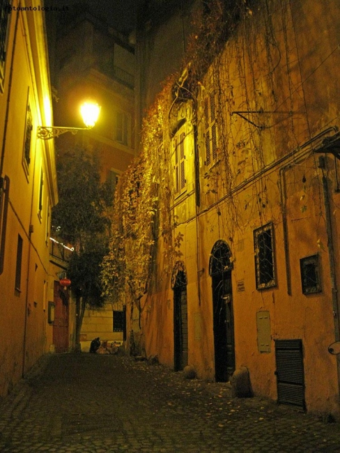 Roma by night - Trastevere