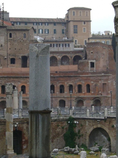 Un volatile nell'antica Roma