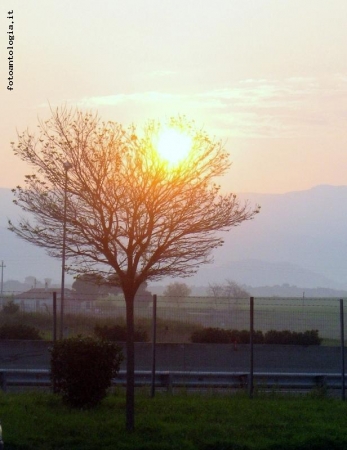 Viaggiare di notte - Alba