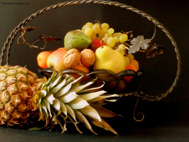 cornucopia