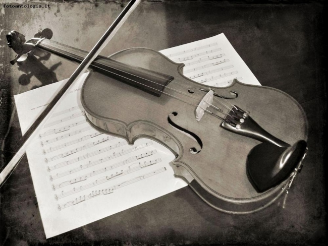 Il Violino