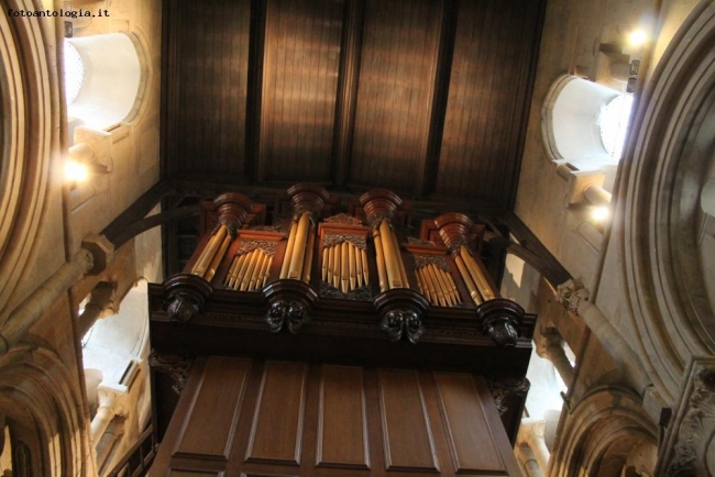 Organo ottocentesco ,università Christ Church, Oxford
