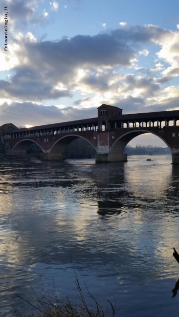ponte di Pavia