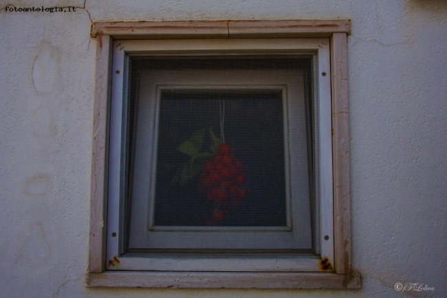 Pomodori alla finestra 