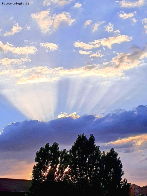 " il bello della casualit nella fotografia "