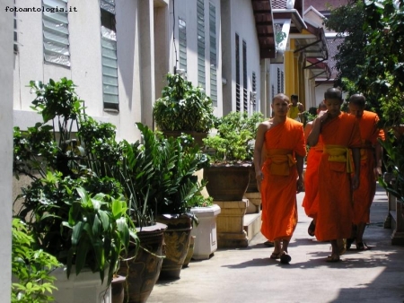 Monaci buddisti a Bangkok