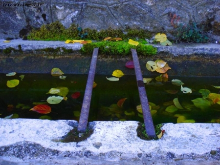 Autunno nel Fontanile