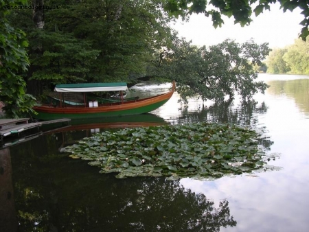 Gondola nel lago Wilanw - Varsavia