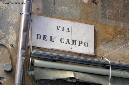 Via Del Campo