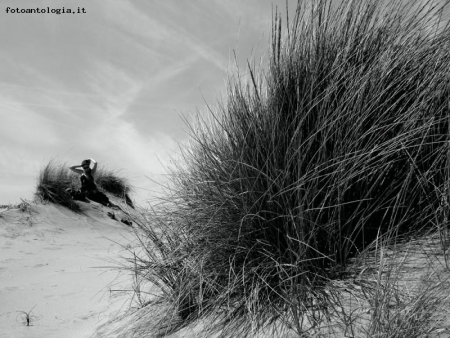 Dune e cespuglio