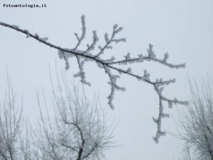 A passeggio con la neve