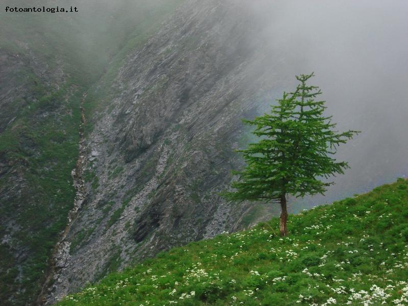 ...scende la nebbia...